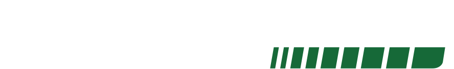 Dansk Site Service Logo